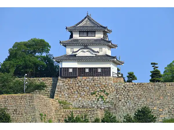 画像