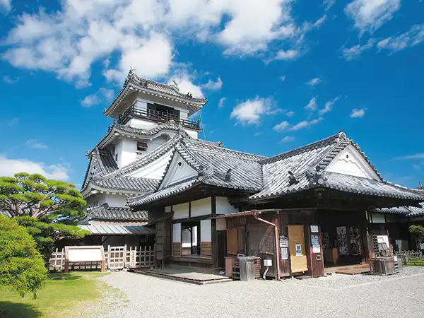 画像